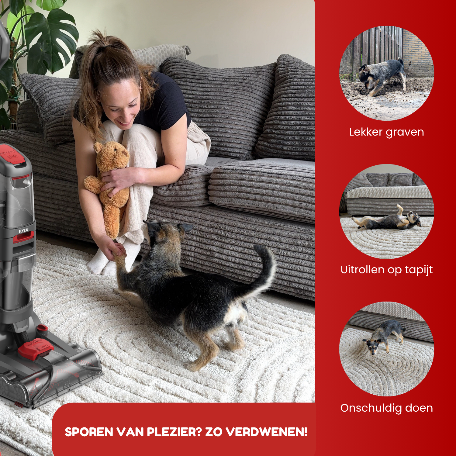 RYER Tapijtreiniger Revive PRO