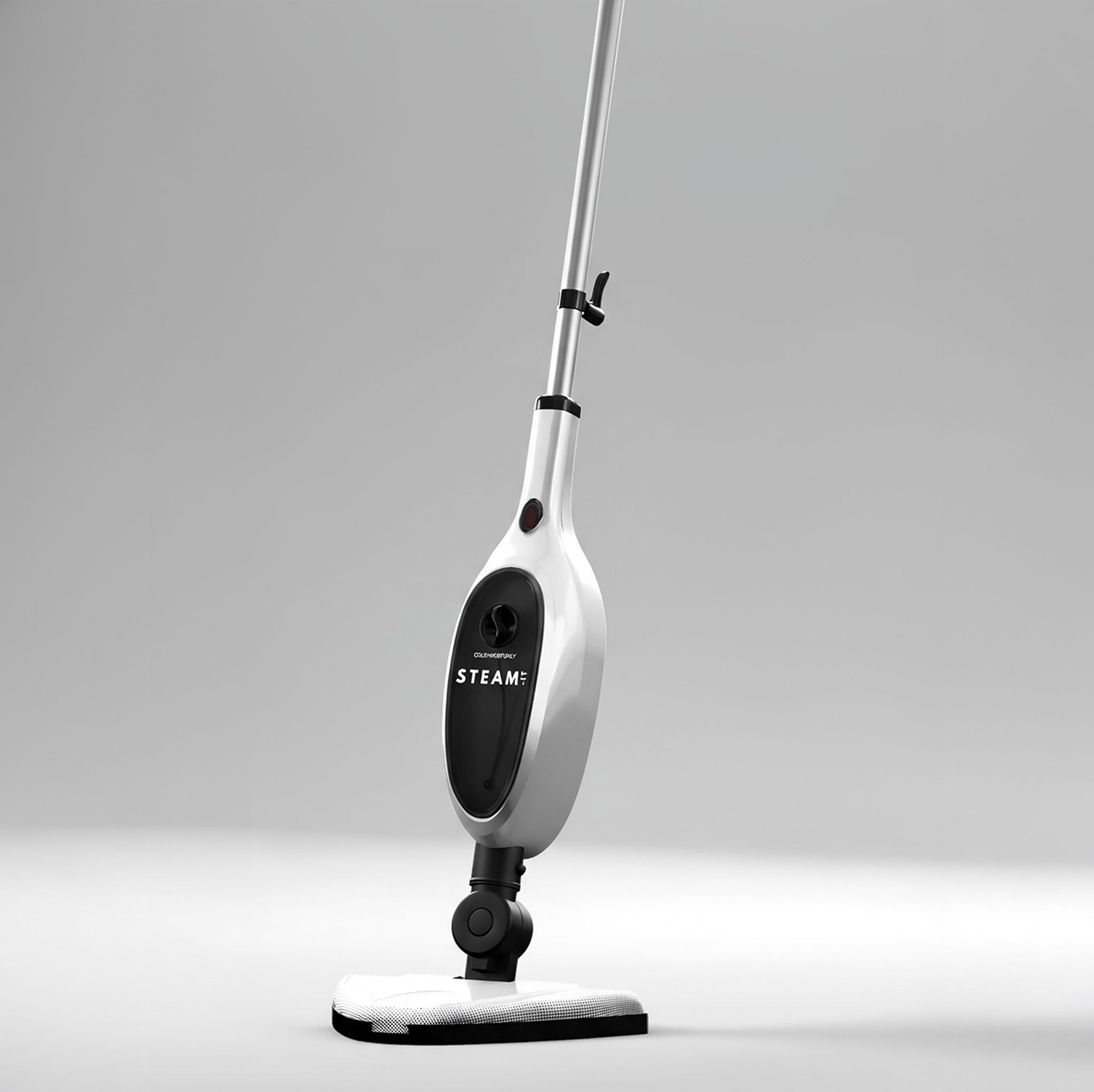 Ryer 2-1 Stoomreiniger